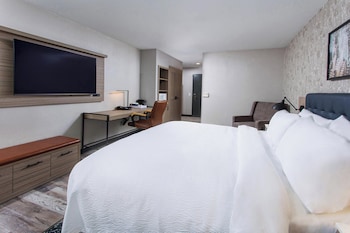 Traditional Room, 1 King Bed