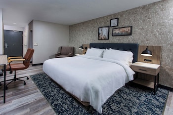 Traditional Room, 1 King Bed