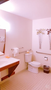 Standard Room, 1 King Bed, Accessible, Non Smoking