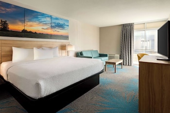Room, 1 King Bed, Non Smoking