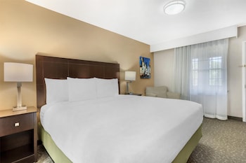 Standard Room, 1 King Bed, Non Smoking, Refrigerator