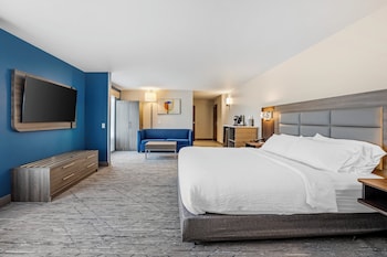 Studio Suite, 1 King Bed with Sofa bed
