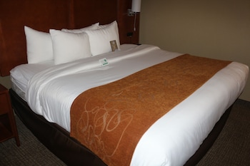 Suite, 1 King Bed with Sofa bed, Non Smoking