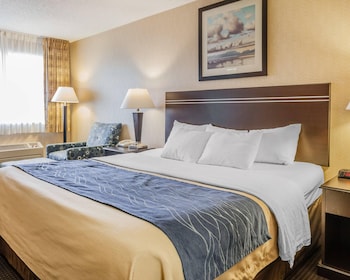 Room, 1 King Bed, Non Smoking