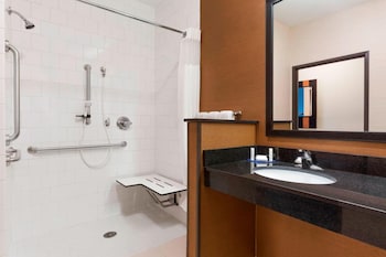 Room, 1 King Bed, Roll-in Shower