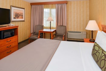 Standard Room, 1 King Bed, Non Smoking, Refrigerator & Microwave (Pet Friendly)