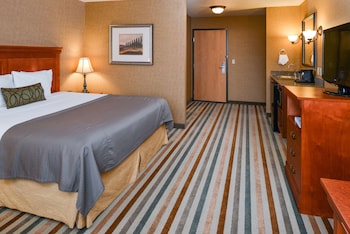 Standard Room, 1 King Bed, Non Smoking, Refrigerator & Microwave (Pet Friendly)