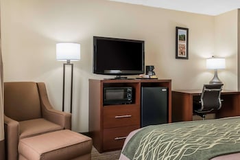Room, 1 King Bed, Accessible, Non Smoking