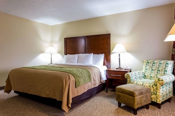Standard Room, 1 King Bed, Non Smoking