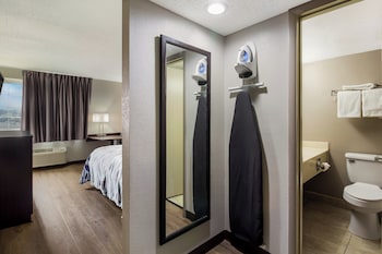 Superior Room, 1 King Bed, Non Smoking, Kitchenette
