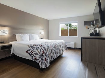 Superior Room, 1 King Bed (Smoke Free)
