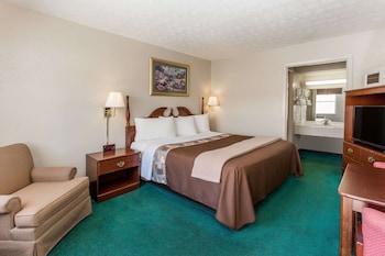 Room, 1 King Bed