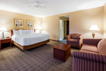 Studio Suite, 1 King Bed, Non Smoking
