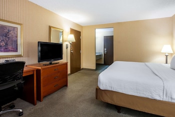 Studio Suite, 1 King Bed, Non Smoking