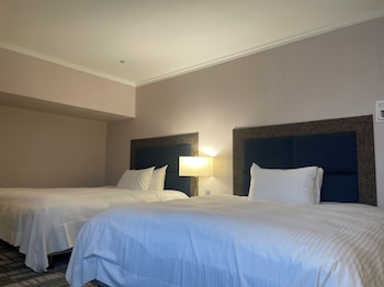 Executive Twin Room, 2 Double Beds