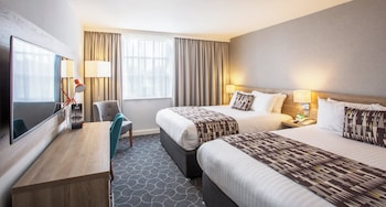 Standard Room, Multiple Beds (Canal View)