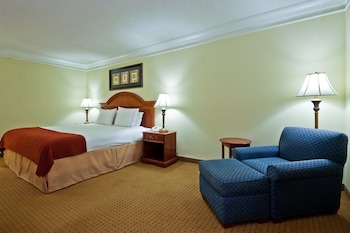 Suite, 1 King Bed with Sofa bed