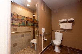 Standard Room, 1 King Bed, Accessible, Non Smoking (Mobility/Hearing Impaired)