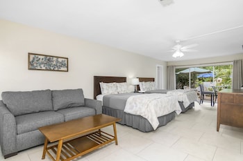 Deluxe Room (Efficiency)