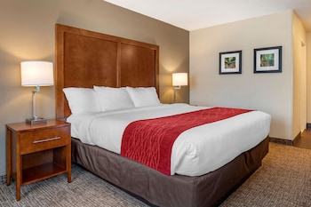 Suite, 1 King Bed, Accessible, Non Smoking (Hearing Accessible)