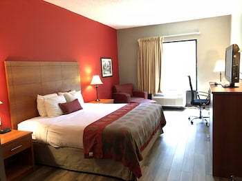 Basic Room, 1 King Bed, Non Smoking