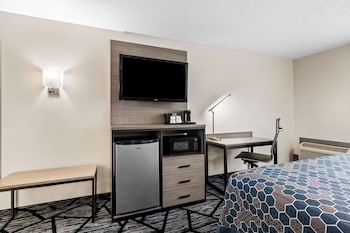 Standard Room, 1 Queen Bed, Non Smoking, Refrigerator & Microwave
