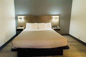 Room, 1 King Bed, Accessible, Non Smoking