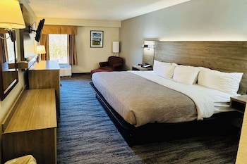 Room, 1 King Bed, Accessible, Non Smoking