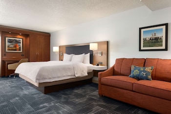Room, 1 King Bed with Sofa bed, Non Smoking (Shower Only)