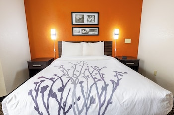 Room, 1 Queen Bed, Accessible, Non Smoking