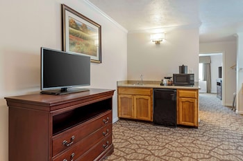 Standard Room, 1 King Bed, Non Smoking, Refrigerator & Microwave (Larger Room)