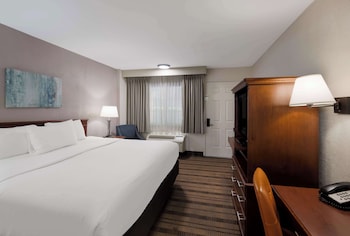 Standard Room, 1 King Bed, Non Smoking, Refrigerator