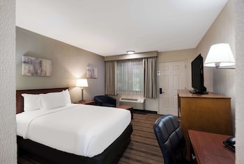 Standard Room, 1 Double Bed, Non Smoking, Refrigerator