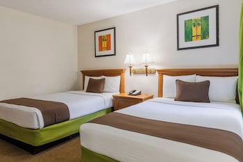 Deluxe Suite, 2 Bedrooms