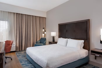 Room, 1 King Bed, Accessible (Mobility and Hearing)