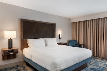 Room, 1 King Bed, Accessible (Mobility & Hearing, Roll-in Shower)
