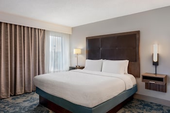 Room, 1 King Bed