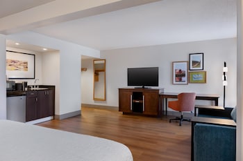 Room, 1 King Bed