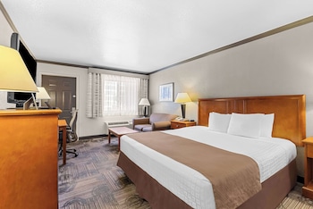 Standard Room, 1 King Bed, Non Smoking, Refrigerator & Microwave (with Sofabed)