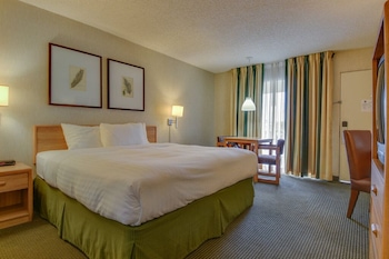 Single Room, 1 King Bed, Roll-In Shower