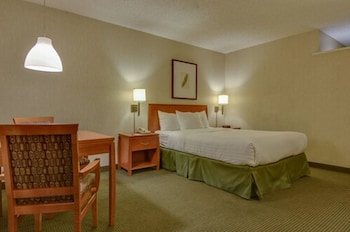 Standard Room, 1 Queen Bed