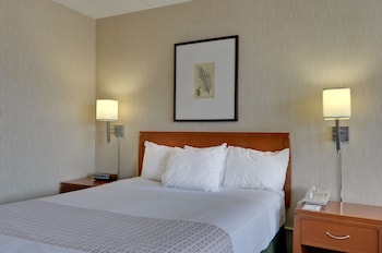 Single Room, 1 King Bed, Roll-In Shower