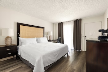 Single Room, 1 King Bed, Roll-In Shower