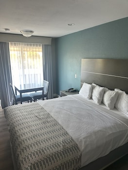 Single Room, 1 King Bed, Accessible, Non Smoking