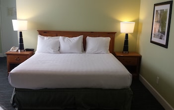 Room, 1 King Bed