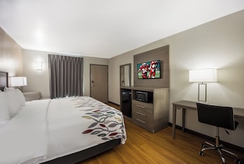 Deluxe Room, 1 King Bed, Accessible (Roll-In Shower, Smoke Free)