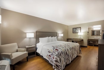 Superior Room, 1 King Bed, Ground Floor (Smoke Free)