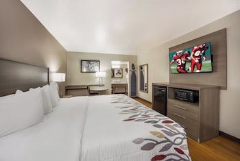 Superior Room, 1 King Bed, Ground Floor (Smoke Free)