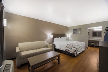 Suite, 1 King Bed (Smoke Free)