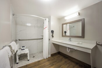 Deluxe Room, 1 King Bed, Accessible (Roll-In Shower, Smoke Free)